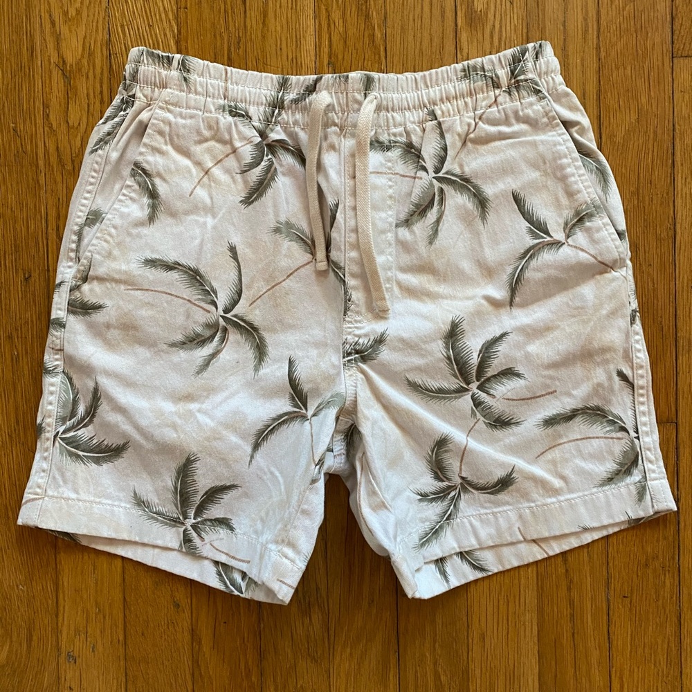 Jcrew Dock Shorts